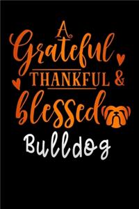 grateful thankful and blessed bulldog