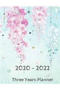 2020 - 2022 Three Years Planner