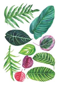 Notebook: for houseplants lovers