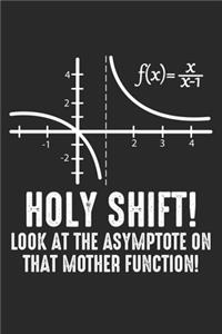 Holy Shift! Look At the Asymptote On That Mother Function!