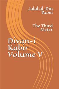 Divan-i Kabir, Volume V