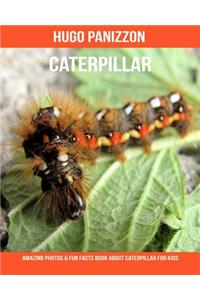 Caterpillar: Amazing Photos & Fun Facts Book about Caterpillar for Kids