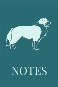 Notes