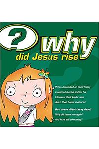 WHY DID JESUS RISE PACK X 25