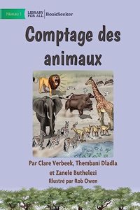 Counting Animals - Comptage des animaux