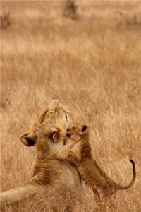 Baby Lion Notebook