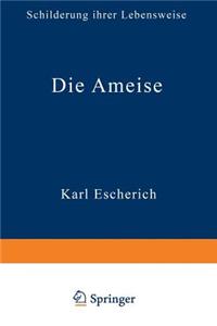 Die Ameise