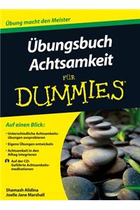 UEbungsbuch Achtsamkeit fur Dummies