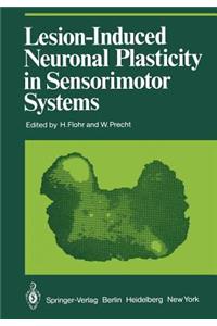 Lesion-Induced Neuronal Plasticity in Sensorimotor Systems