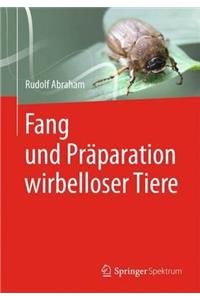 Fang Und Präparation Wirbelloser Tiere