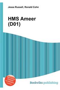 HMS Ameer (D01)