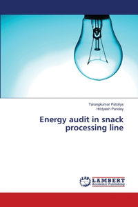 Energy audit in snack processing line