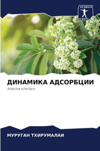 ДИНАМИКА АДСОРБЦИИ