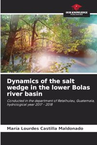 Dynamics of the salt wedge in the lower Bolas river basin