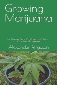 Growing Marijuana
