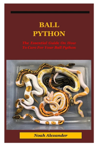 Ball Python