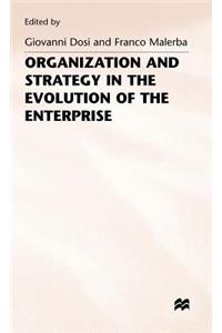 Organization and Strategy in the Evolution of the Enterprise