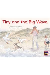 Tiny and the Big Wave