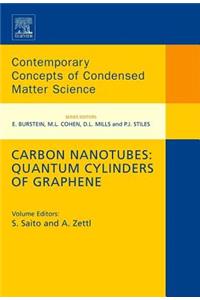 Carbon Nanotubes: Quantum Cylinders of Graphene