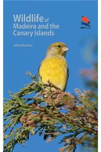 Wildlife of Madeira and the Canary Islands