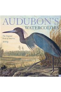 Audubon's Watercolors 2019 Wall Calendar