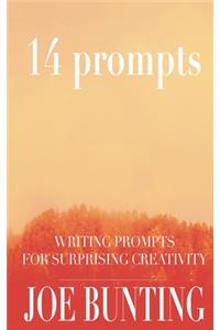 14 Prompts