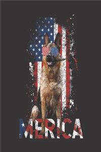 Merica