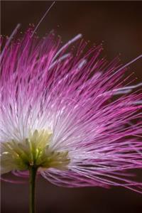 Pink Blossom Illuminated Journal