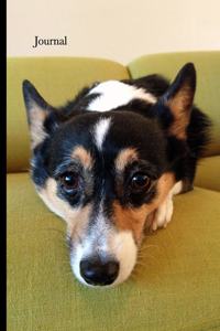Cute Pembroke Welsh Corgi Journal