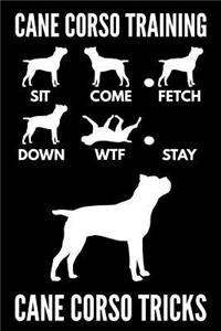 Cane Corso Training - Cane Corso Tricks