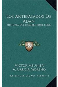 Antepasados De Adan