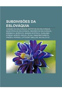 Subdivisoes Da Eslovaquia