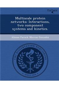 Multiscale Protein Networks: Interactions