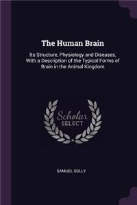 The Human Brain