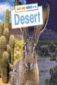 Day and Night in the Desert