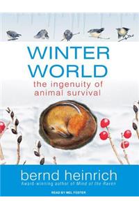 Winter World
