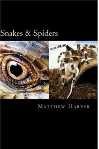 Snakes & Spiders