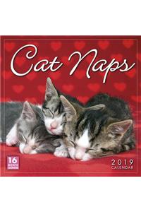 2019 Cat Naps 16-Month Wall Calendar: By Sellers Publishing
