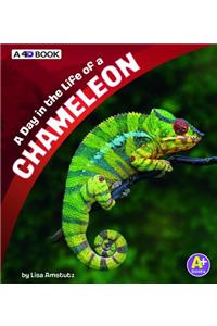 A Day in the Life of a Chameleon
