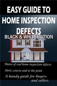 Easy Guide to Home Inspection Defects