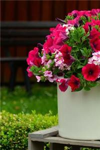 Petunia Flowers in a White Planter Journal