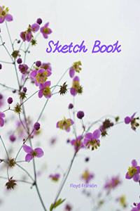 Sketch book