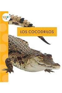 Los Cocodrilos