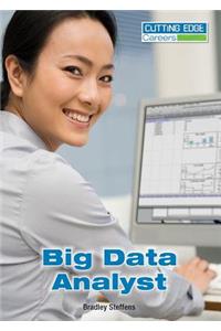 Big Data Analyst