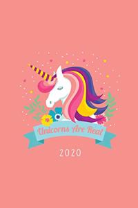 Unicorns are Real 2020 Planner