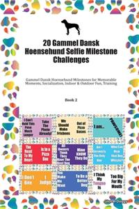 20 Gammel Dansk Hoensehund Selfie Milestone Challenges
