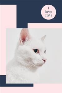 I love cats
