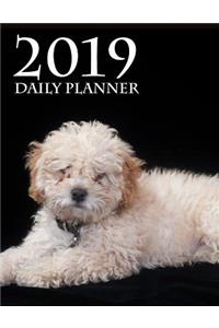 2019 Daily Planner