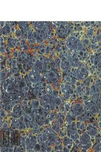 2019 Daily Planner Ancient Abstract Design Marbleized 384 Pages