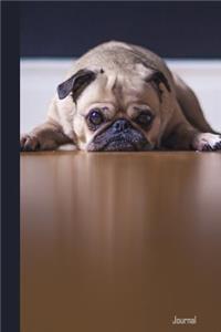 Journal: Pug Puppy Dog Laying Down Diary & Writing Notebook Daily Diaries for Journalists & Writers Use for Note Taking Write about Your Life & Interests